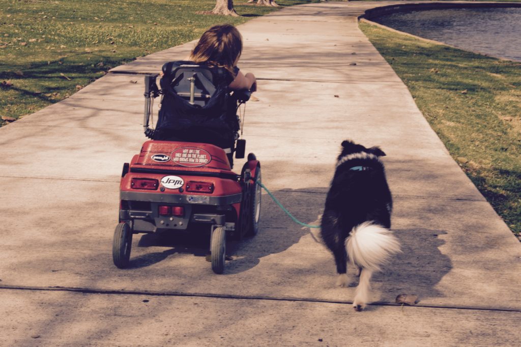 Lexie the service dog