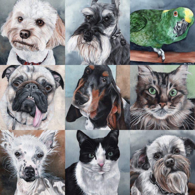 custom watercolor pet portrait paintings- dog portraits, cat portraits, bird portraits