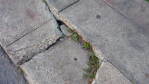 sidewalk, french quarter 