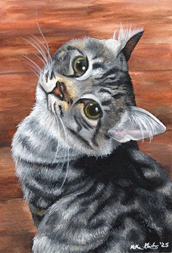 Close-up of a realistic cat portrait by Katherine Klimitas, showcasing detailed fur and expressive eyes.